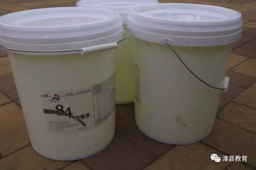 漳县教育系统高效行动 防疫消毒用品第一时间发放到位